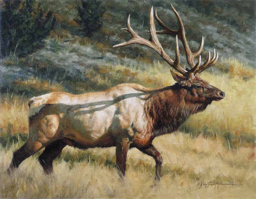 KM2 – Long Shadows – Elk © Krystii Melaine