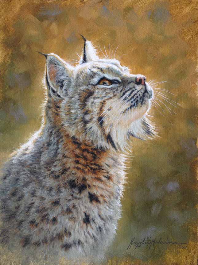 KM2 – Looking Up – Bobcat © Krystii Melaine