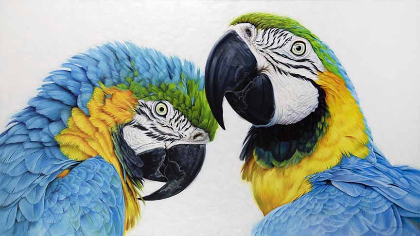 KM2 – Magnanimous – Blue and Gold Macaws © Krystii Melaine