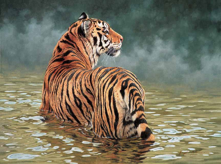 KM2 – Mists of Time – Tiger © Krystii Melaine