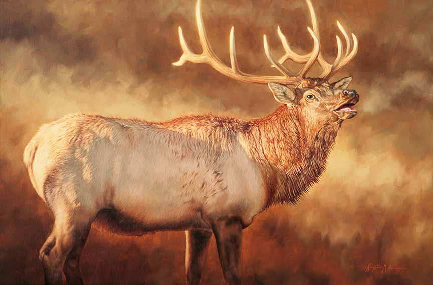 KM2 – Monarch of Autumn © Krystii Melaine