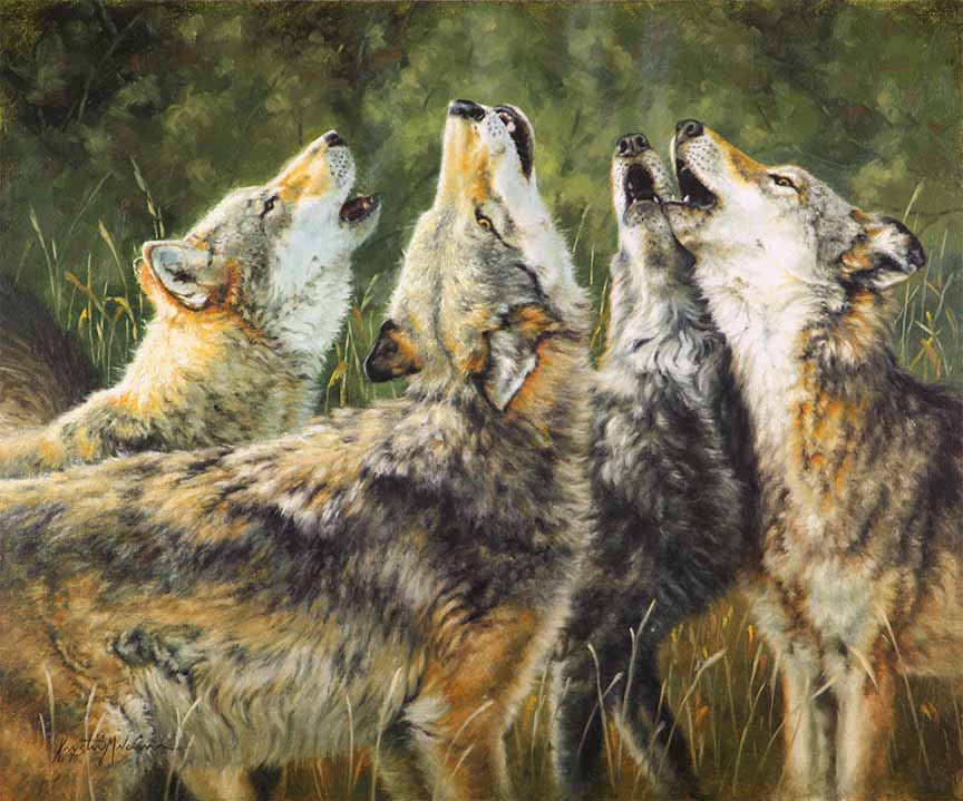 KM2 – Natural Harmony © Krystii Melaine