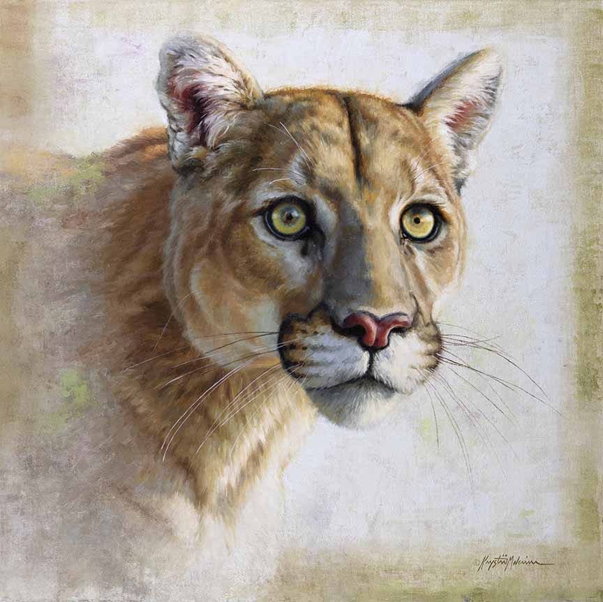 KM2 – Omahkatayo – Mountain Lion – Blackfoot © Krystii Melaine