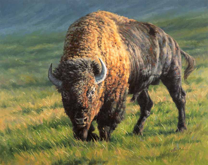 KM2 – Power of the Plains © Krystii Melaine
