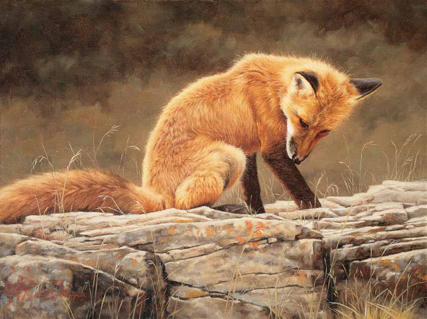 KM2 – Red Head © Krystii Melaine