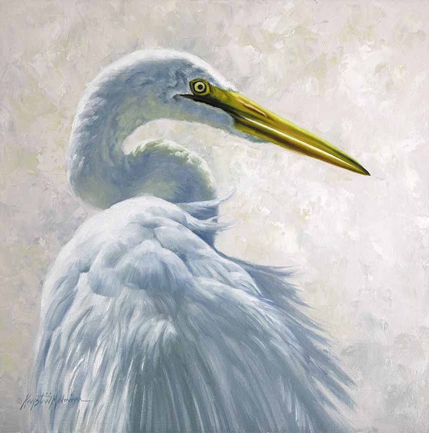 KM2 – Regal – Great Egret © Krystii Melaine