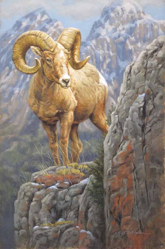 KM2 – Rock Climber © Krystii Melaine
