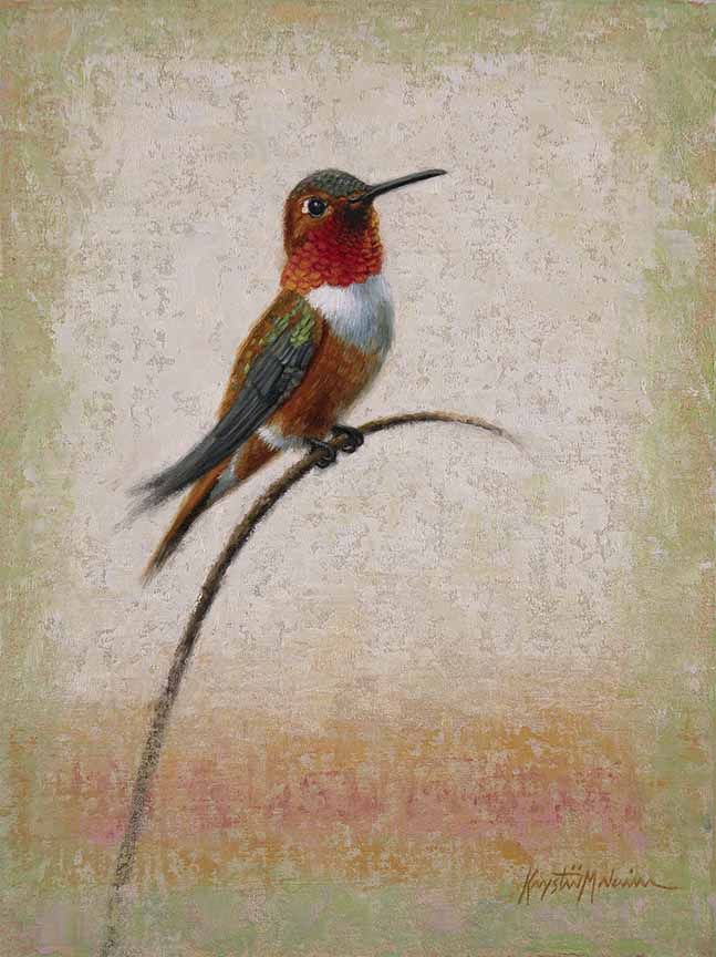 KM2 – Songbirds – Little Red – Rufous Hummingbird © Krystii Melaine