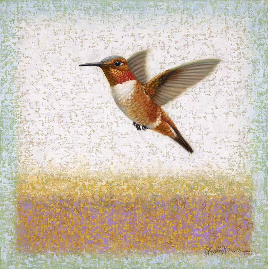KM2 – Songbirds – Oscillate – Rufous Hummingbird © Krystii Melaine