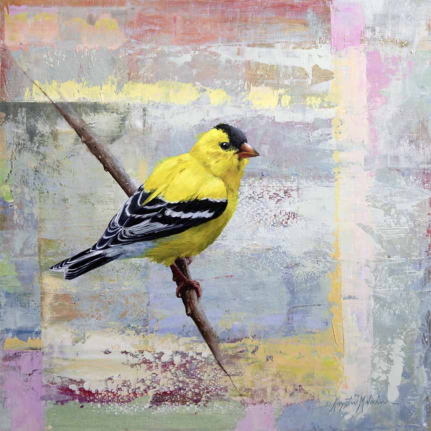 KM2 – Songbirds – The Goldfinch © Krystii Melaine