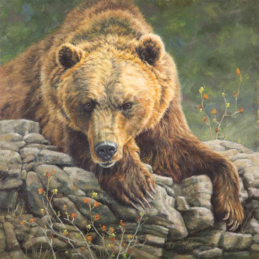 KM2 – Stare Bear © Krystii Melaine
