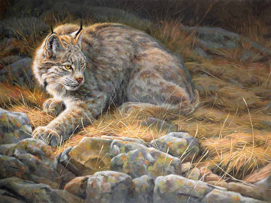 KM2 – The Quick & The Fed – Lynx © Krystii Melaine
