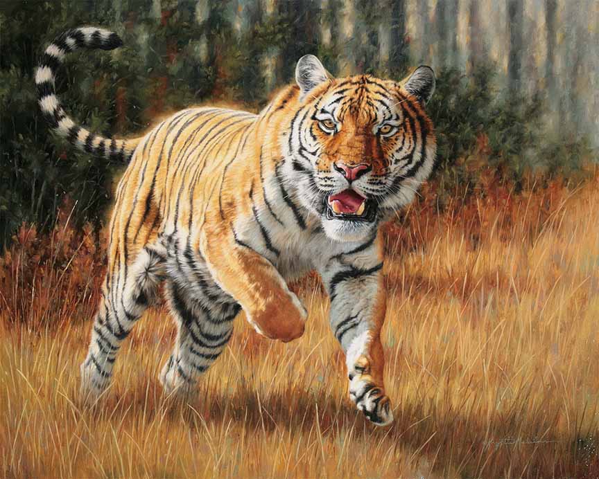 KM2 – Tiger Attack © Krystii Melaine