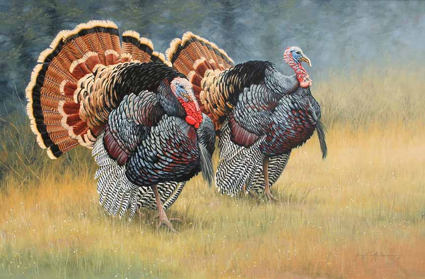 KM2 – Turkeys © Krystii Melaine