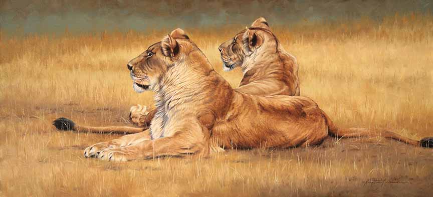 KM2 – Waiting for Wildebeest – Lionesses © Krystii Melaine