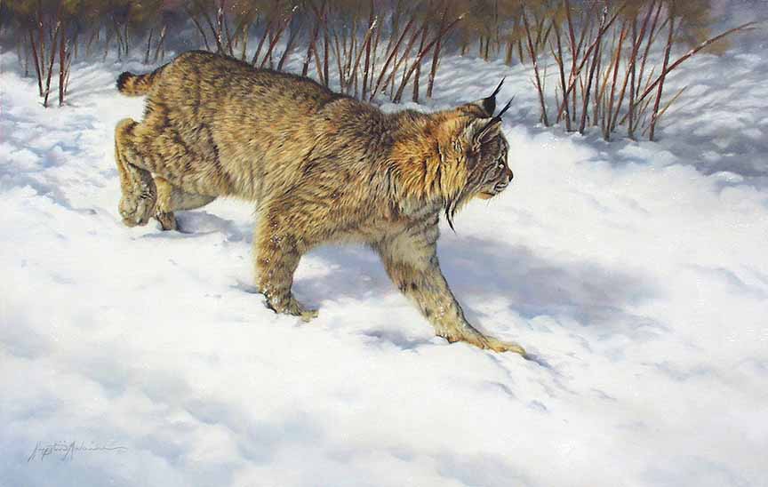 KM2 – Winter Hunt – Lynx © Krystii Melaine