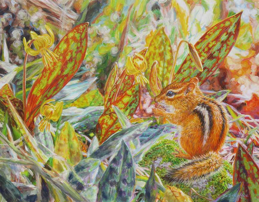 BH2 – Chipmunk Amongst the Trout Lilies © Beth Hoselton