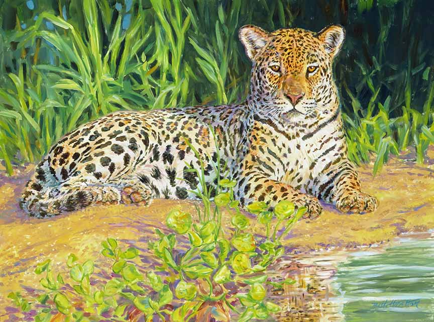BH2 – River’s Edge – Jaguar © Beth Hoselton