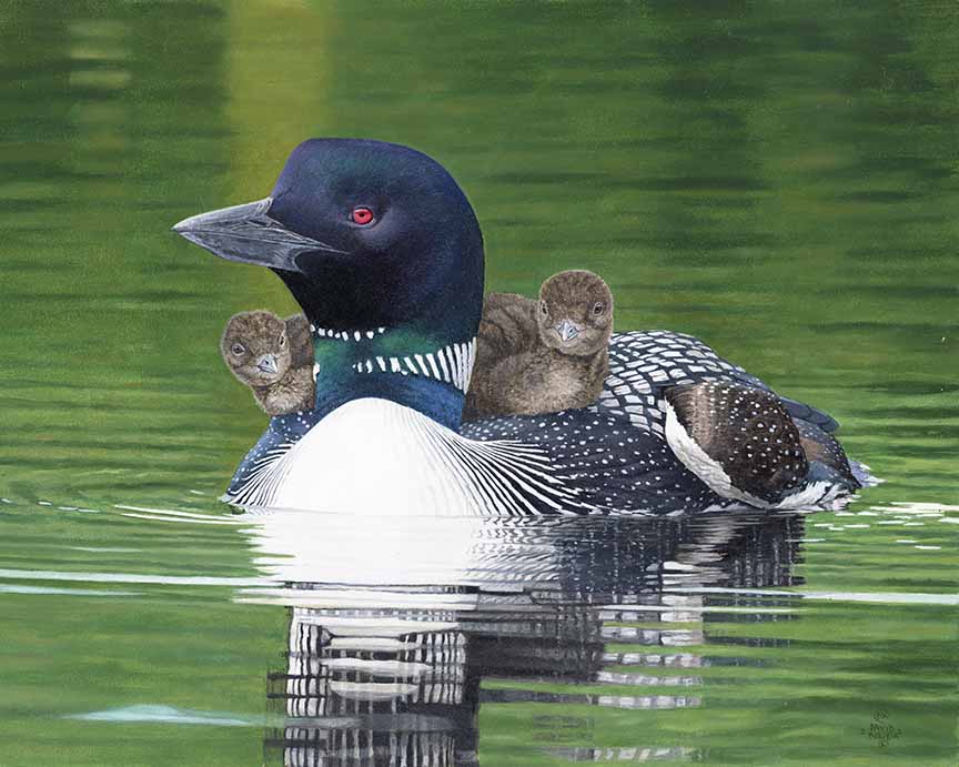 DK – All Aboard 22-0435 © David Kiehm