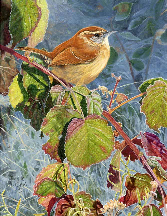DK – First Frost © David Kiehm