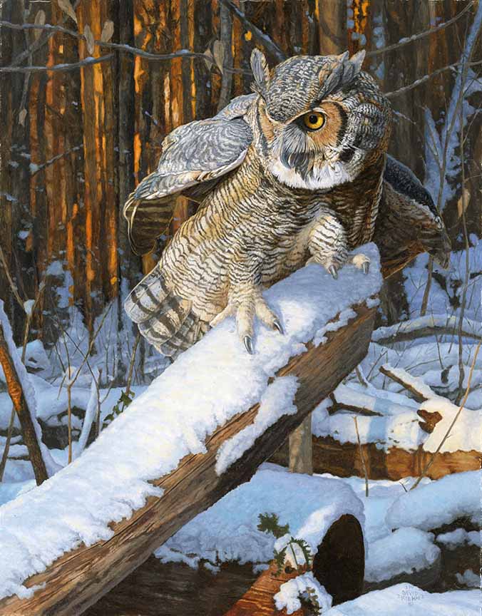 DK – Hunting the Cut 23-0463 © David Kiehm