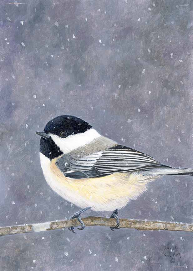 DK – Light Flurries © David Kiehm