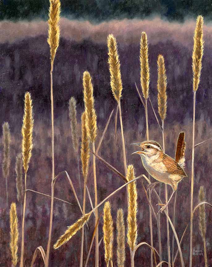 DK – Marsh Music 25-0574 © David Kiehm