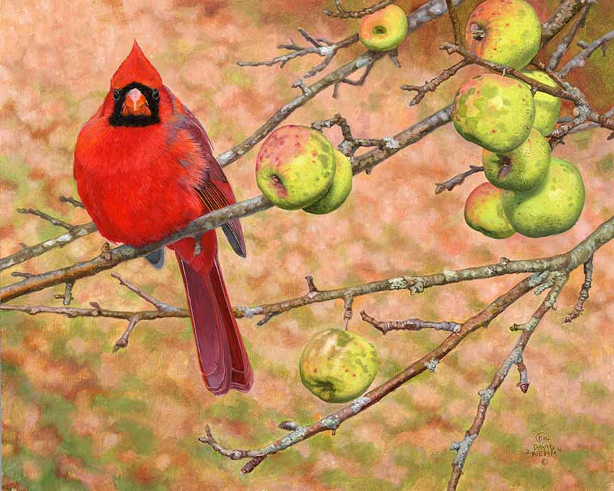 DK – Sour Apples 24-0532 © David Kiehm