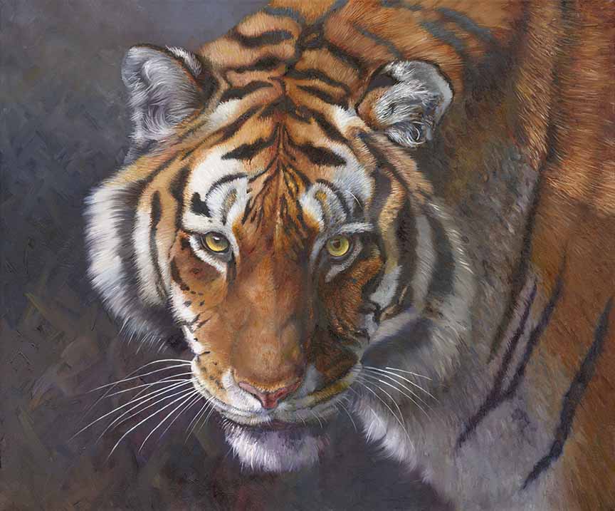 HM – Eyes on You © Hilary Mayes
