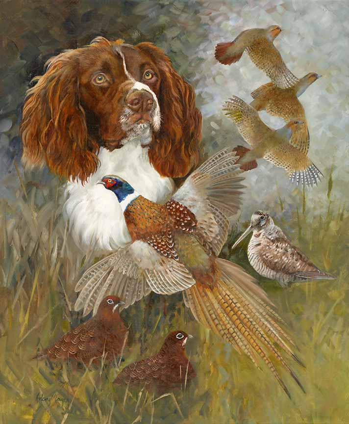 HM – Spaniel and Gamebirds © Hilary Mayes