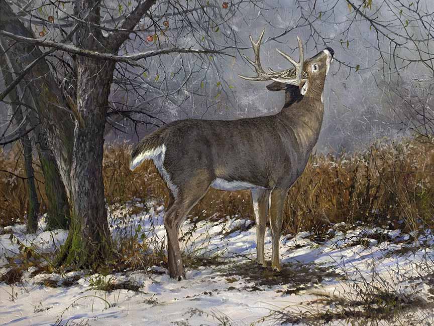 JP – Scent Check 3-815 © Jack Paluh