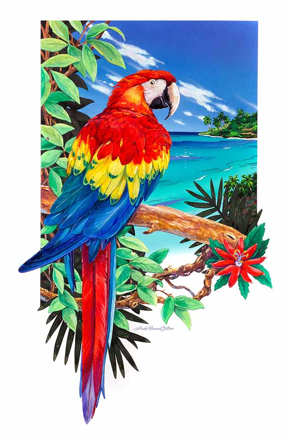LHB – Scarlet Macaw Vignette © Linda Howard Bittner