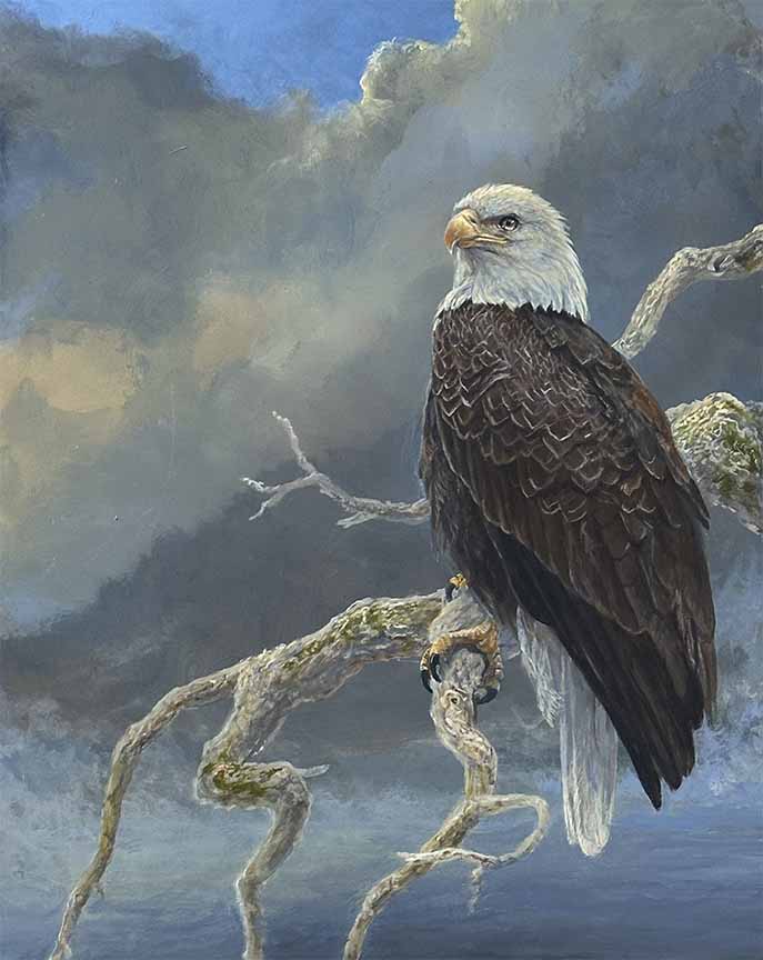 LMF – Eagle on Branch © Laura Mark-Finberg