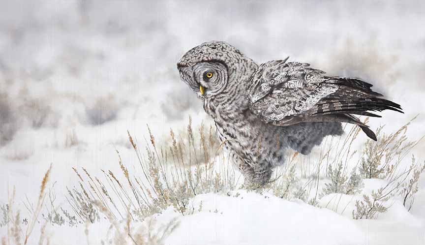 MK – A Rustle Neath the Frost © Mark Kelso