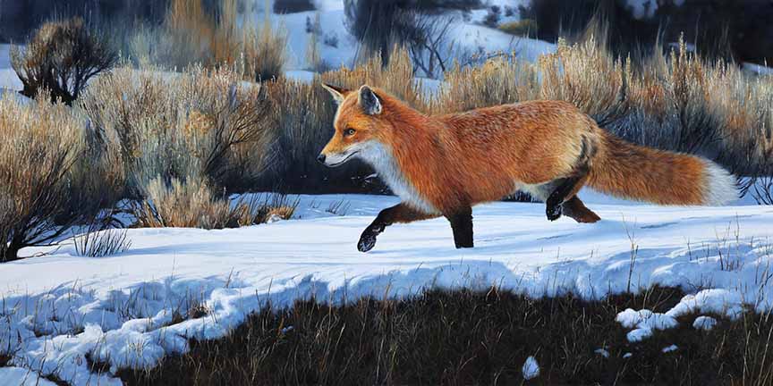 MK – Morning Constitutional © Mark Kelso