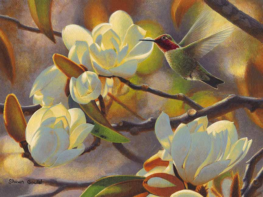 SG – Humming In The Sun © Shawn Gould