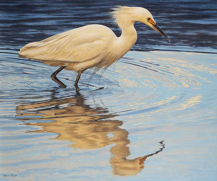 SG – Reflecting Pool © Shawn Gould
