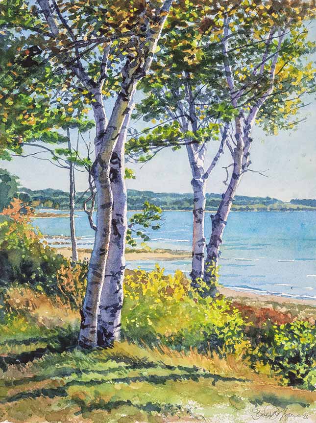 SM – Birch on the Bay © Stan Myers