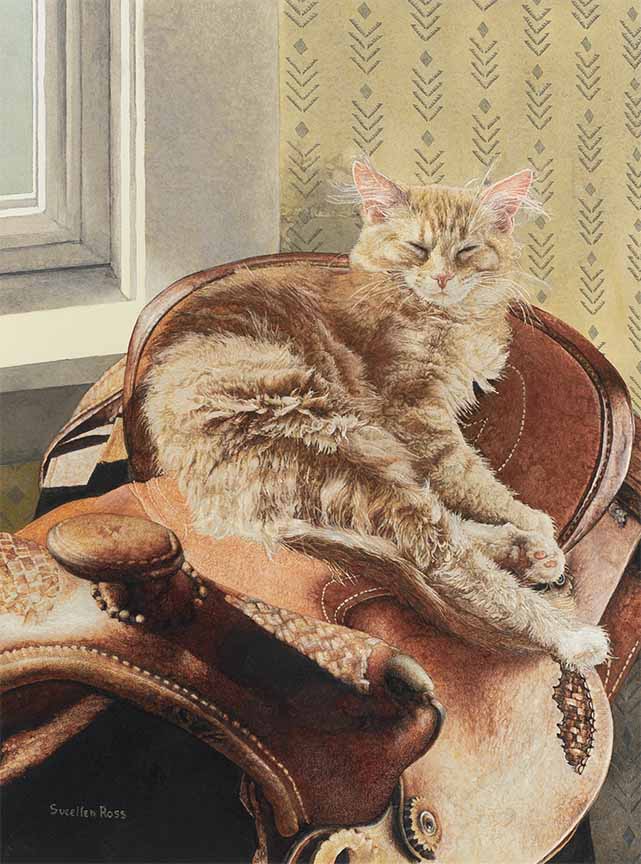 SR – Saddle Up © Sueellen Ross