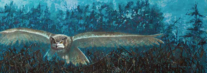 SSL – Midnight Flight © Suzie Seerey-Lester