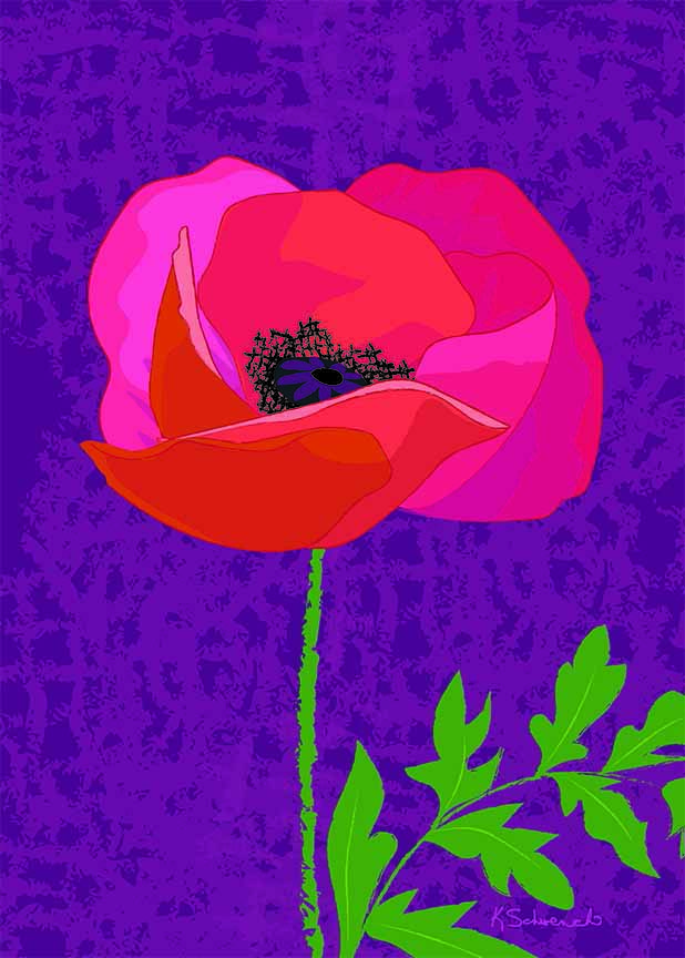 KS2 – Flowers – Single Poppy © Kris Schwenck