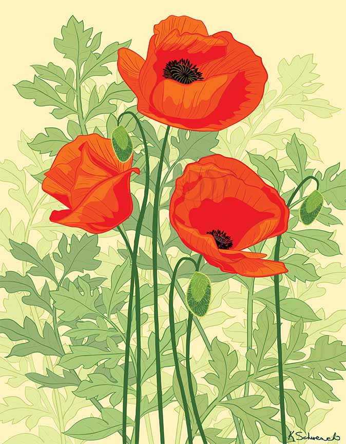 KS2 – Flowers – William Morris Poppies 2 © Kris Schwenck