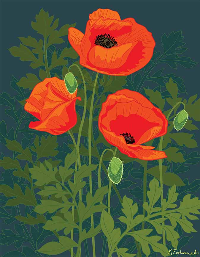 KS2 – Flowers – William Morris Poppies © Kris Schwenck
