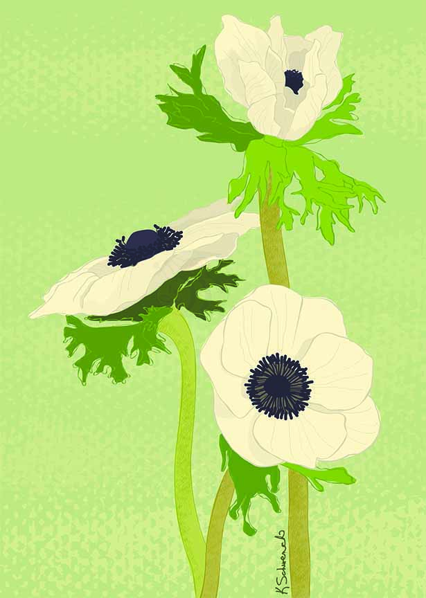 KS2 – Flowers – Winter Flowers © Kris Schwenck