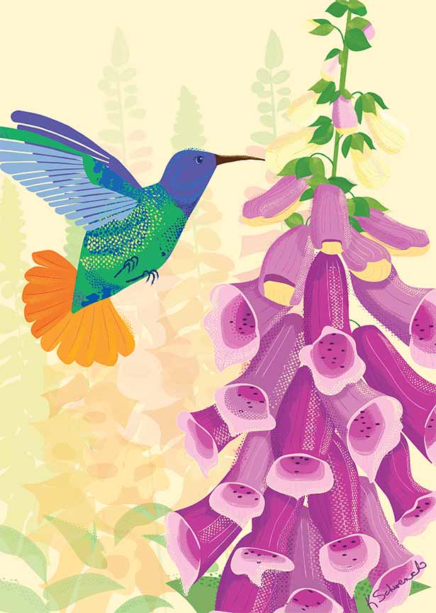 KS2 – Garden Party – Hummingbird © Kris Schwenck