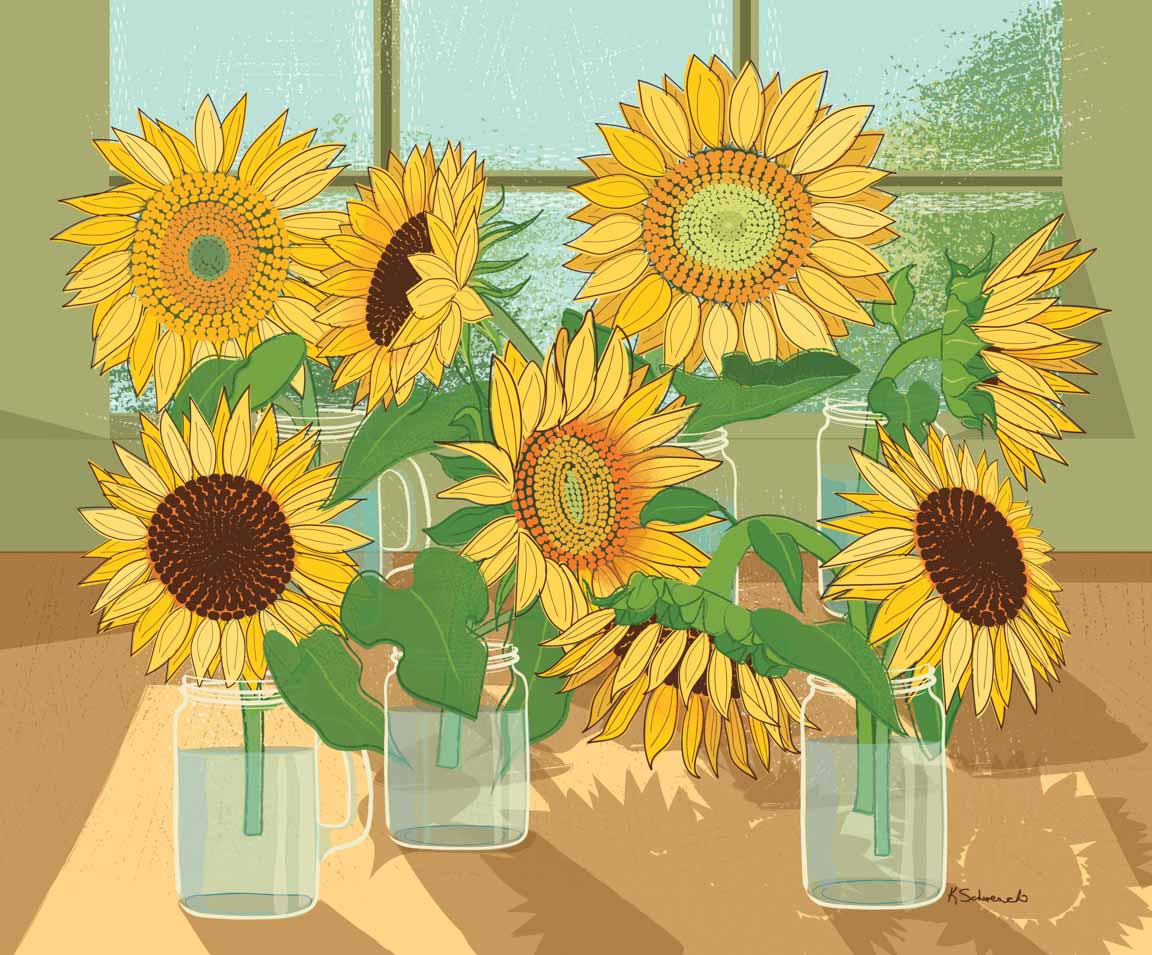 KS2 – Hello Sunshine – Sunflowers by Window © Kris Schwenck