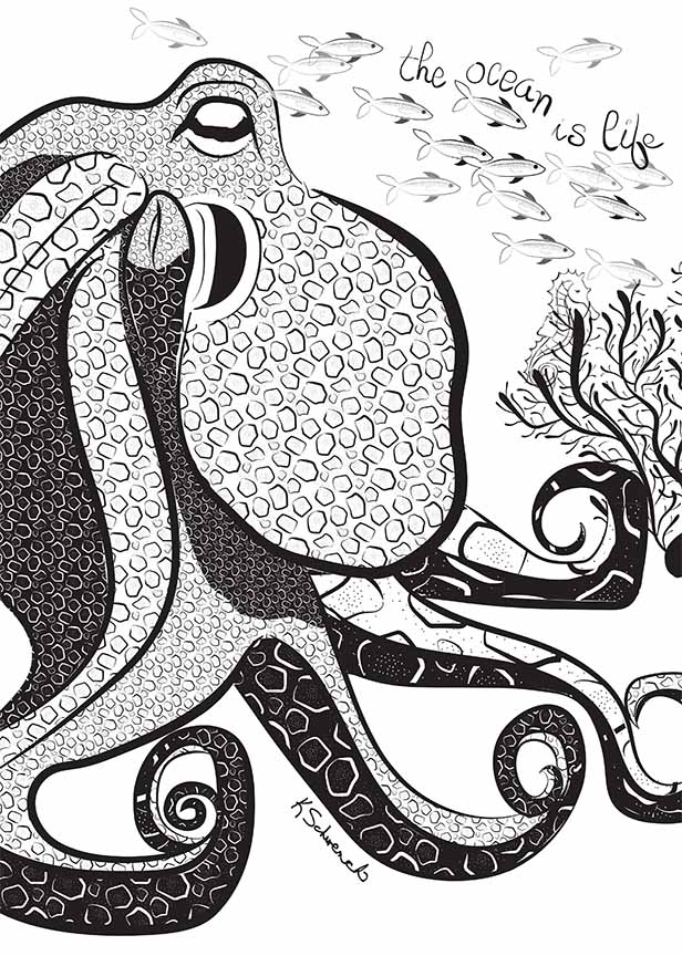 KS2 – zAnimal Illustrations – Octopus – black and white © Kris Schwenck