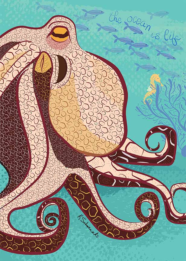 KS2 – zAnimal Illustrations – Octopus – brown © Kris Schwenck