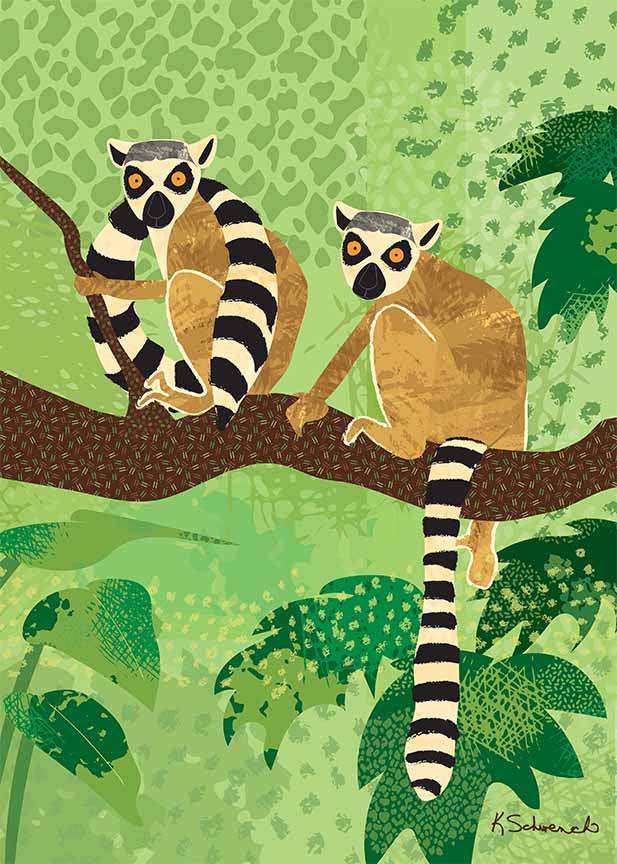 KS2 – zAnimal Illustrations – Ring-Tailed Lemurs © Kris Schwenck