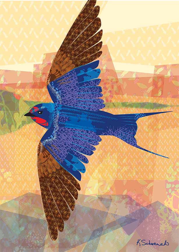 KS2 – zAnimal Illustrations – Songbirds, Barn Swallow © Kris Schwenck